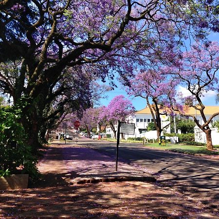 Waterhouse Guest Lodge In Muckleneuk Pretoria-Noord Dış mekan fotoğraf